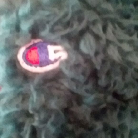 Champion teddy bear hoodie deep green sz M - Picture 6 of 9